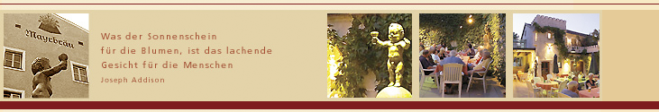 Hotel - Gasthof Mayrbräu - Braunau - Simbach - Burghausen - Mattighofen Hotel - Gasthof Mayrbräu - Braunau - Simbach - Burghausen - Mattighofen